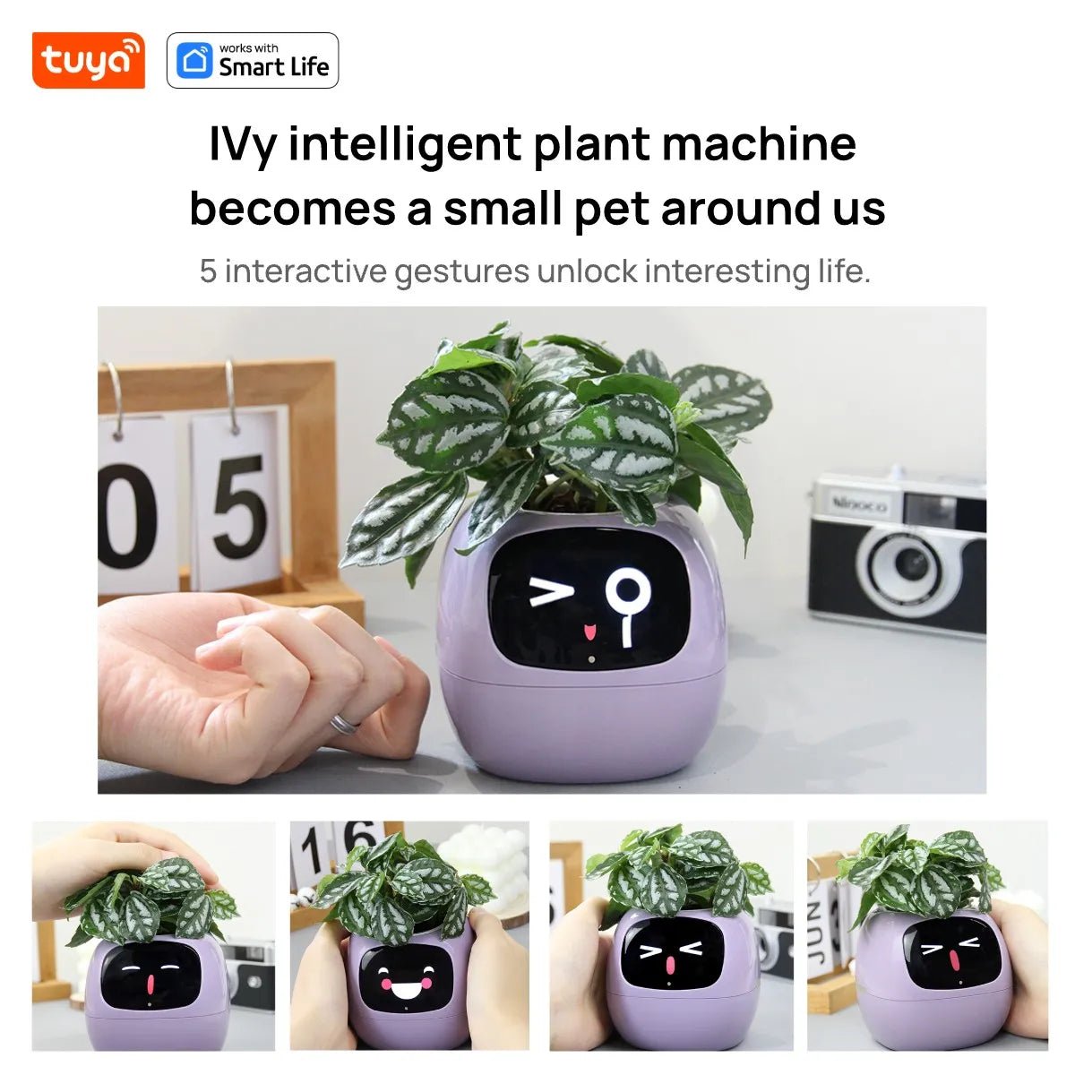 Tuya Ivy Smart Planter,Endless Fun Over 49 Rich Expressions,7 smart sensors,AI Chips Make Raising Plants Easy and Fun - AMWLY