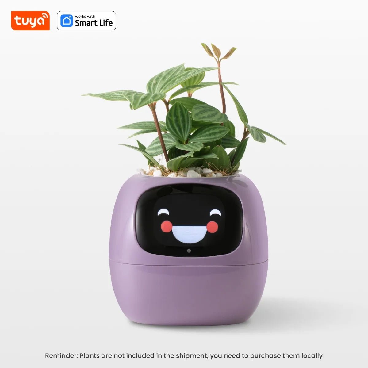 Tuya Ivy Smart Planter,Endless Fun Over 49 Rich Expressions,7 smart sensors,AI Chips Make Raising Plants Easy and Fun - AMWLY