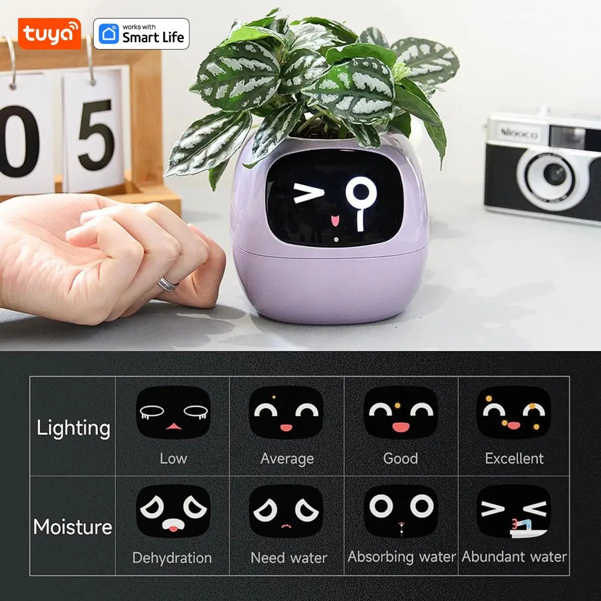 Tuya Ivy Smart Planter,Endless Fun Over 49 Rich Expressions,7 smart sensors,AI Chips Make Raising Plants Easy and Fun - AMWLY