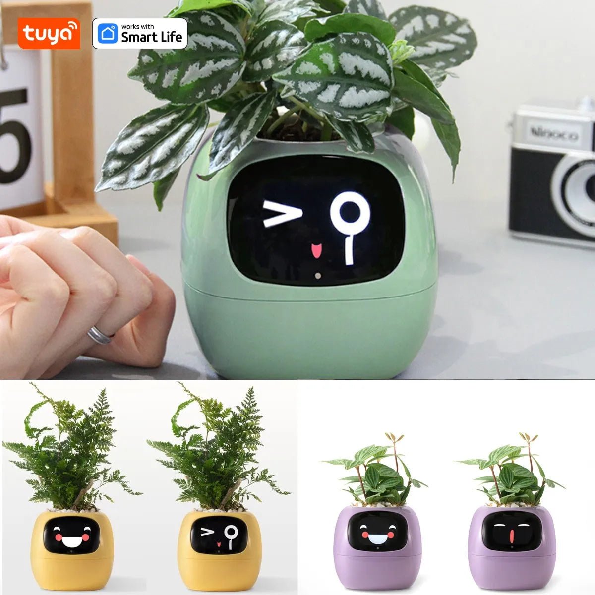 Tuya Ivy Smart Planter,Endless Fun Over 49 Rich Expressions,7 smart sensors,AI Chips Make Raising Plants Easy and Fun - AMWLY