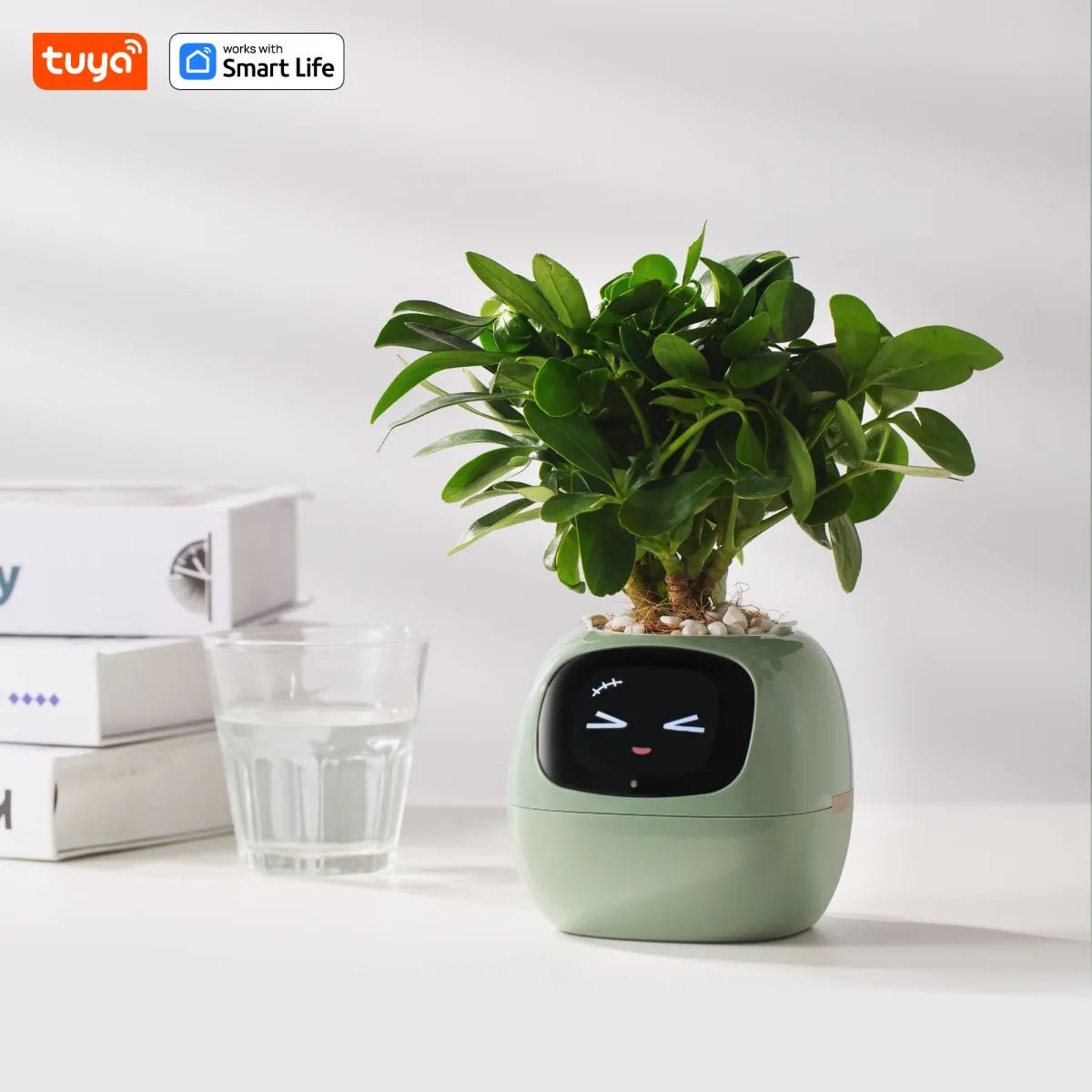 Tuya Ivy Smart Planter,Endless Fun Over 49 Rich Expressions,7 smart sensors,AI Chips Make Raising Plants Easy and Fun - AMWLY